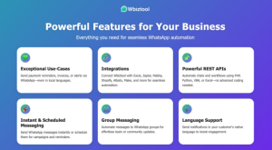 wbiztool review